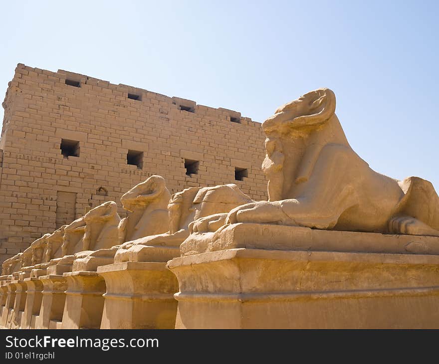 Ram-headed Sphinxes At The Gates Of Karnak