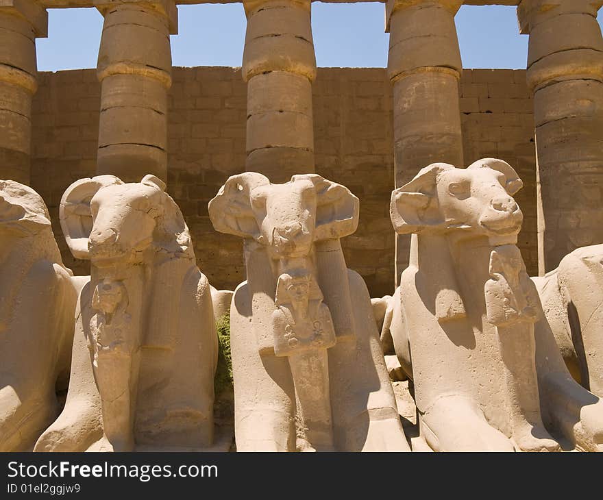 Ram-headed sphinxes