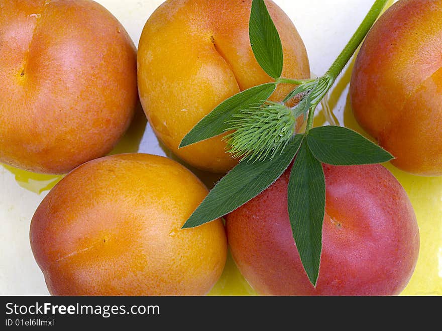 DELICIOUS FRESH APRICOTS WITH LEAFS