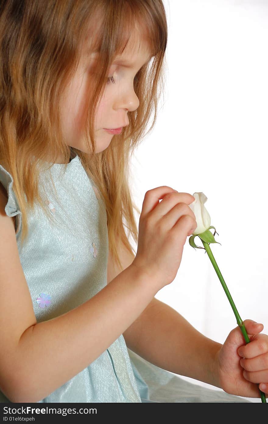 Little girl with a single white rose. Little girl with a single white rose