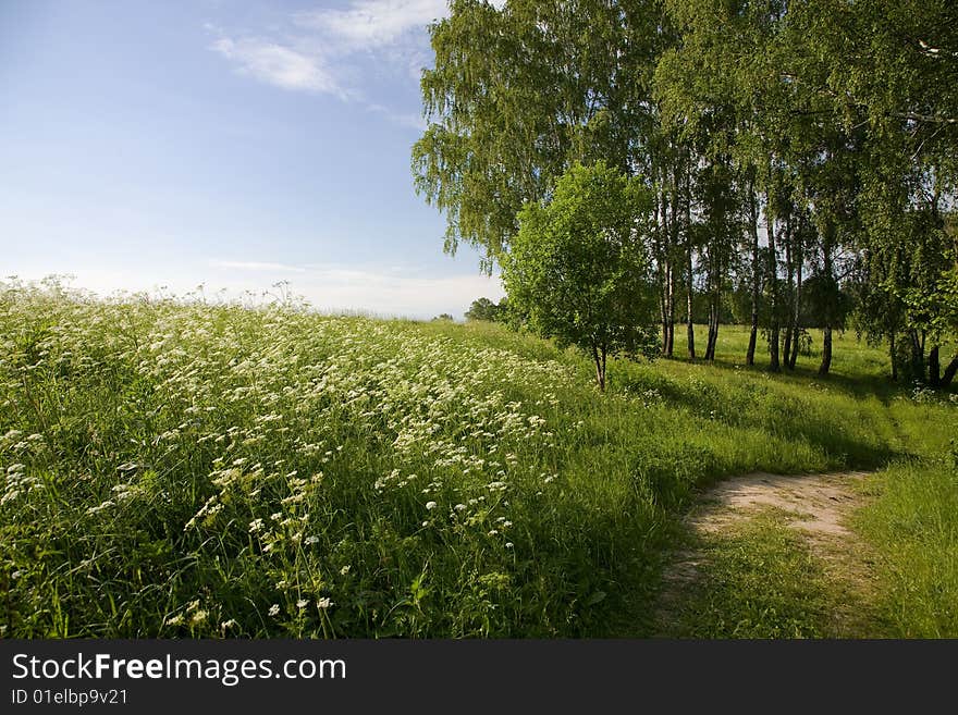 Beautiful summer day. The midland nature