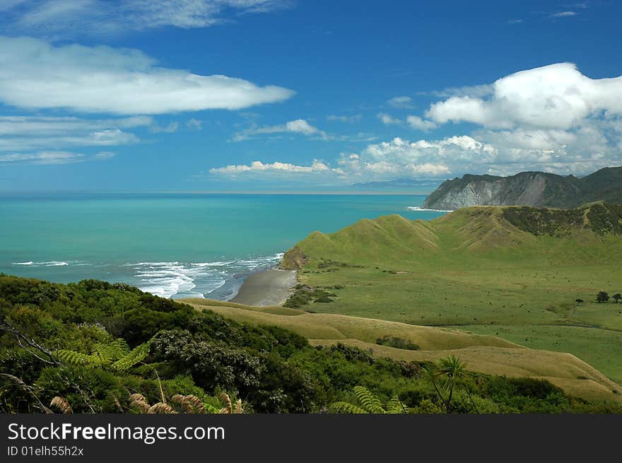 Beautiful New Zealand beach scene