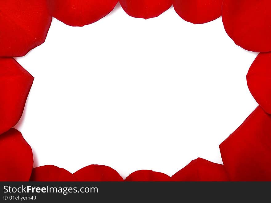 Red rose petals frame isolated on white background