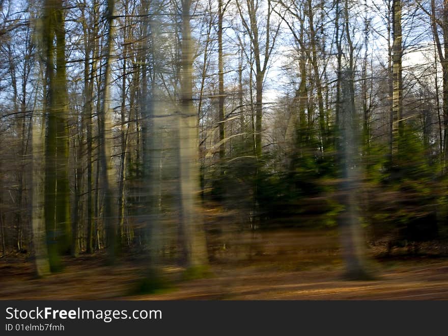 View over a car window. View over a car window