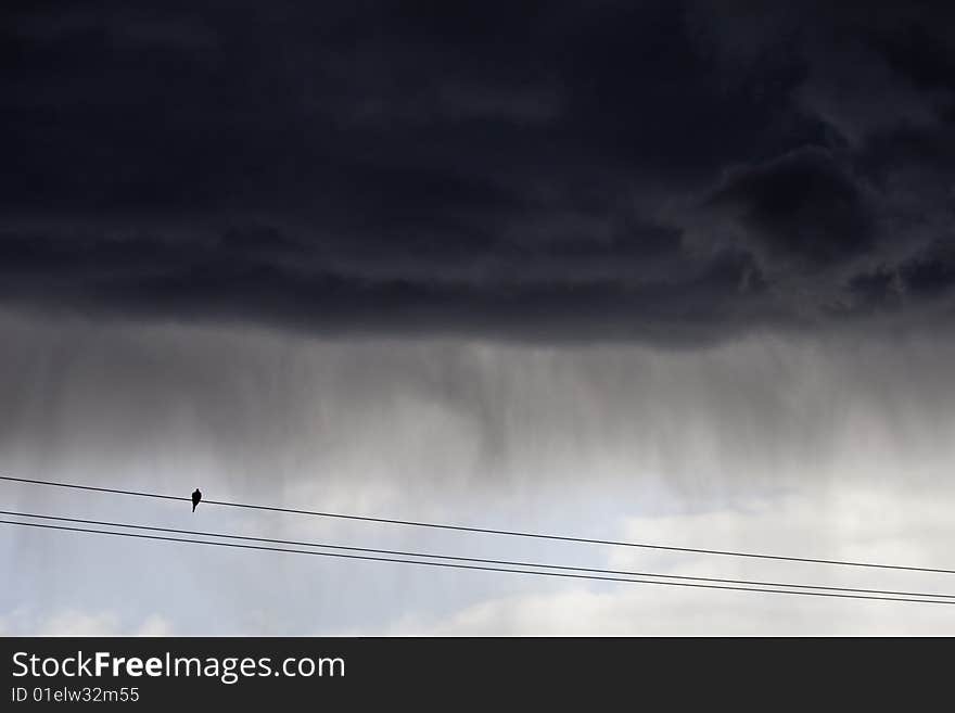 Mourning dove sitting on wire as the rains come in. Mourning dove sitting on wire as the rains come in.