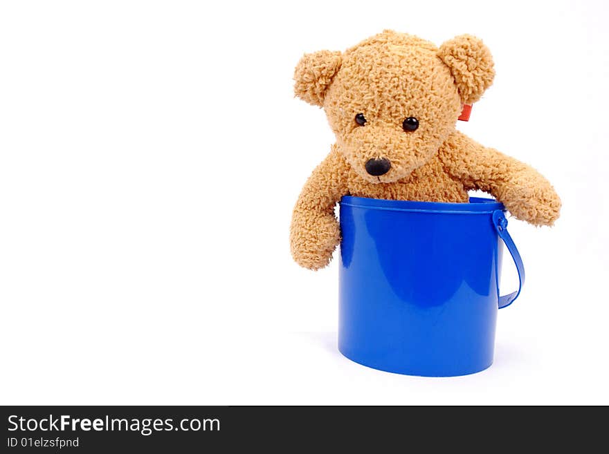 Bear on white background, photo image. Bear on white background, photo image