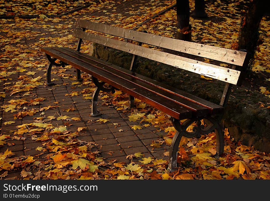 Old sole bench in autumn park