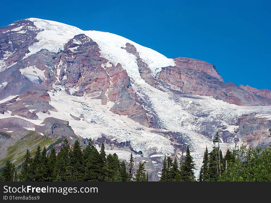 Mount Rainier park is on the sunny day. Mount Rainier park is on the sunny day.