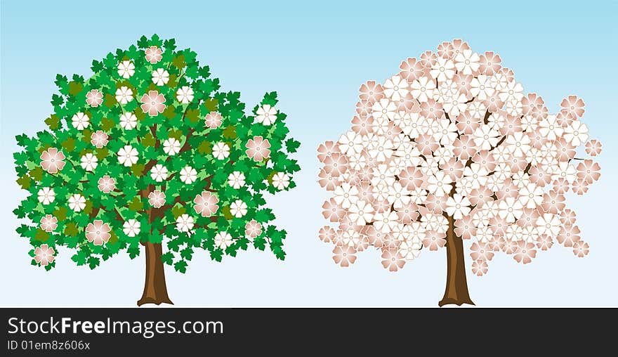 Vector illustration of isolated spring trees. Vector illustration of isolated spring trees