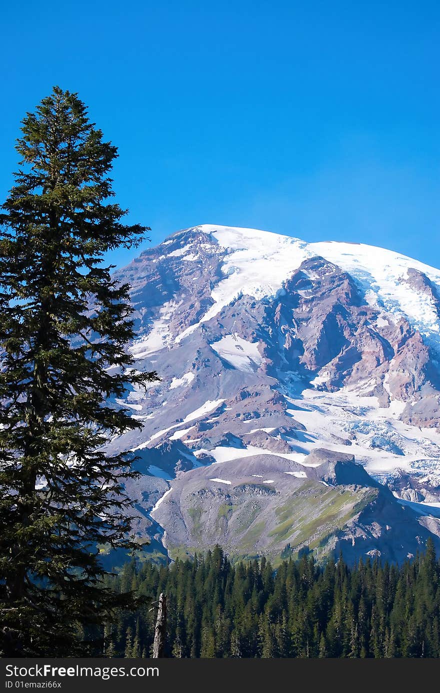 Mountain Rainier National Park.