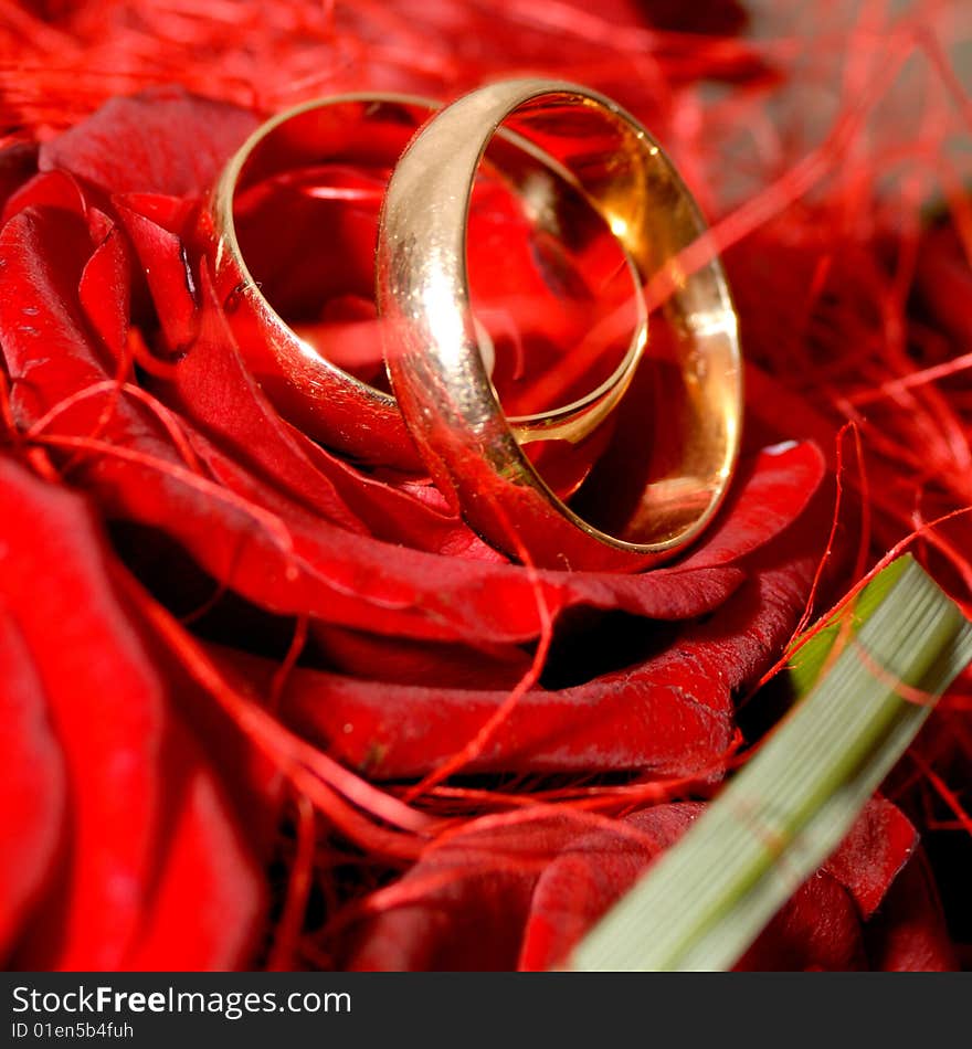 Two engagement rings on roses.