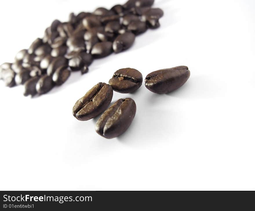 Coffee bean on white background