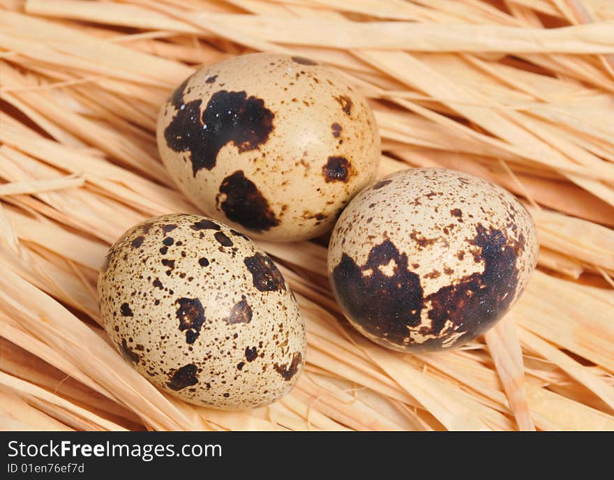 Three spotted eggs for background desktop