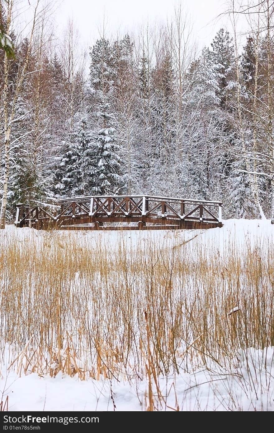 Small foot-bridge on background nature