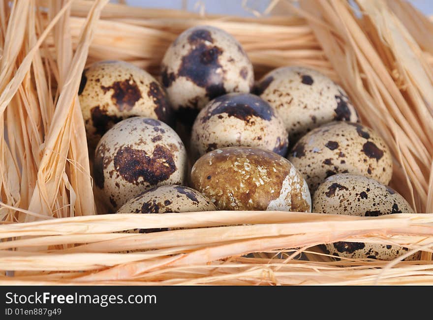 Few small spoted eggs lie on straw