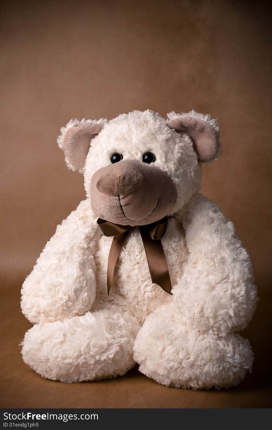 Teddy bear toy on a brown background