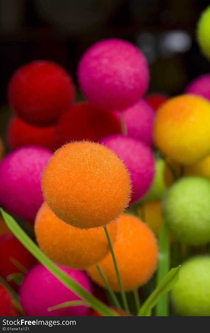 Colorful fluffy ball in market of flowers