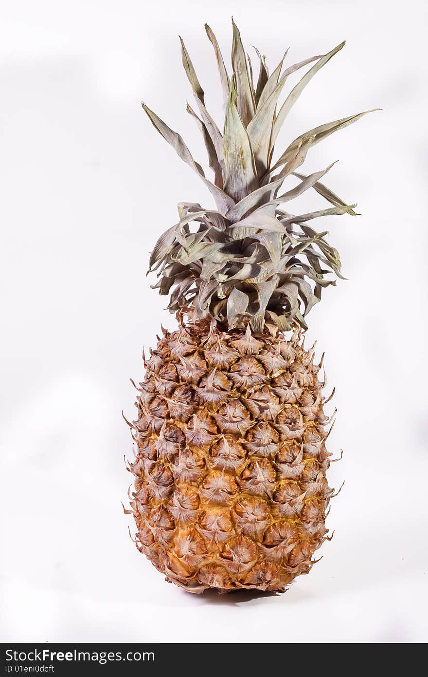 Isolated pineapple fruit on a white program