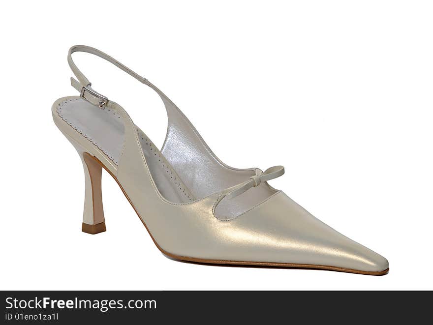 Beautiful shiny woman shoes