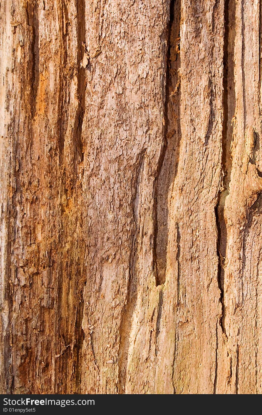 Natural old bark