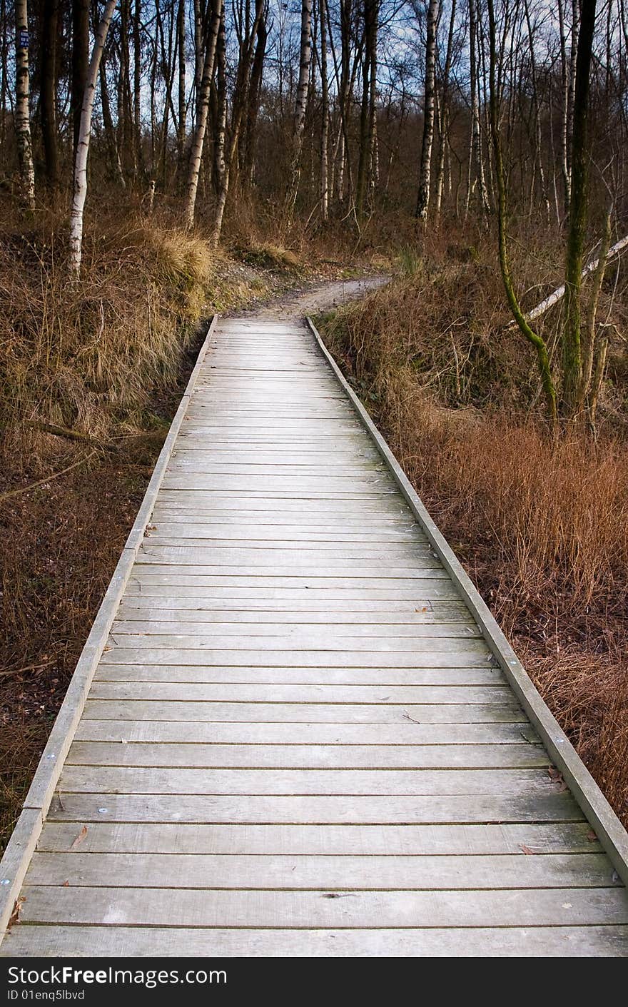 Wooden forest bridge