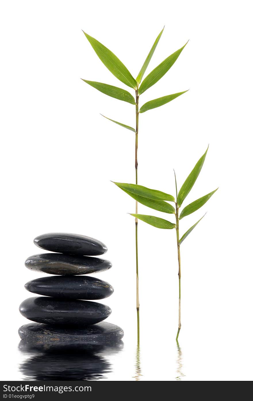 Spa still life,bamboo leaves