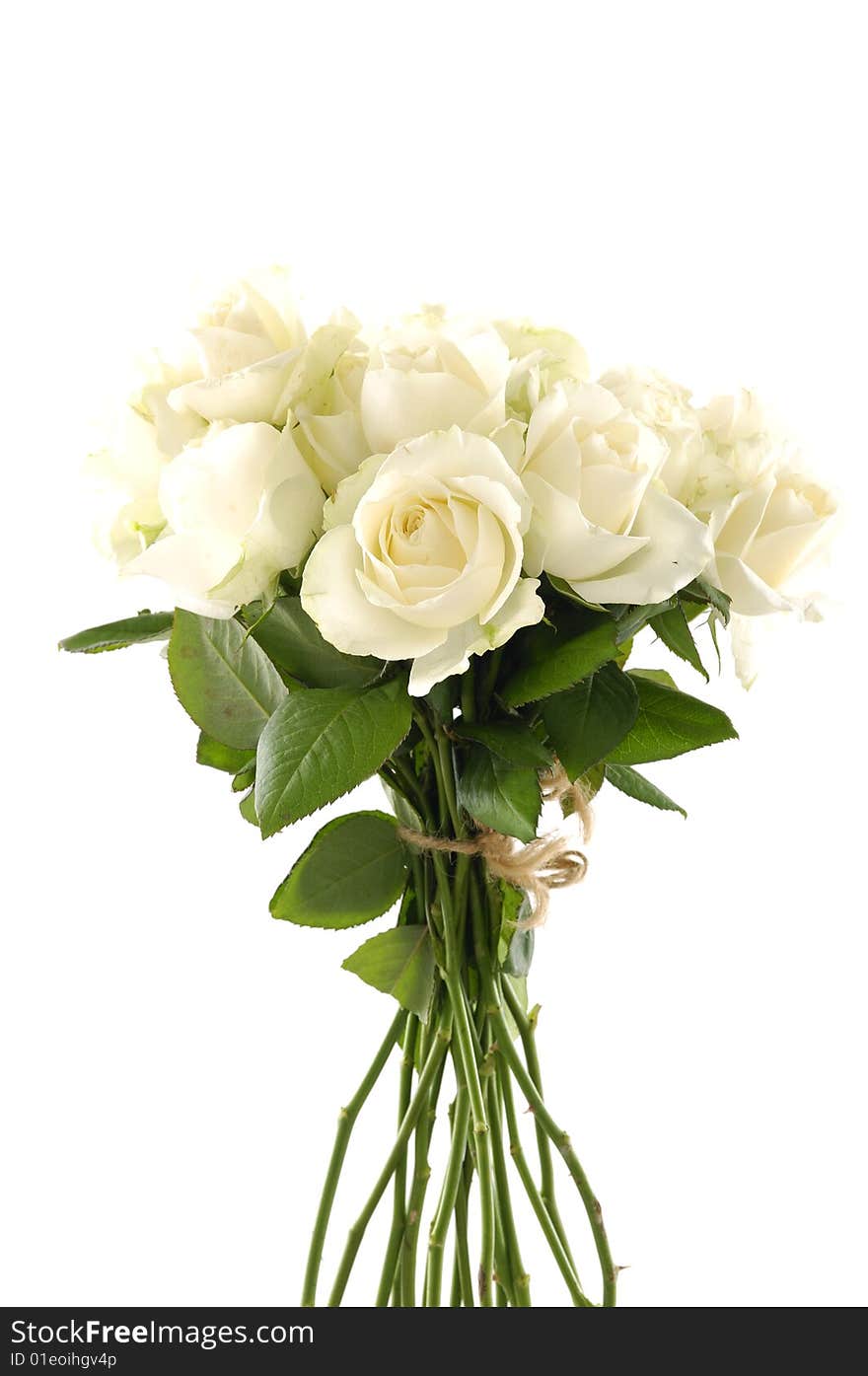 A bunch of white roses