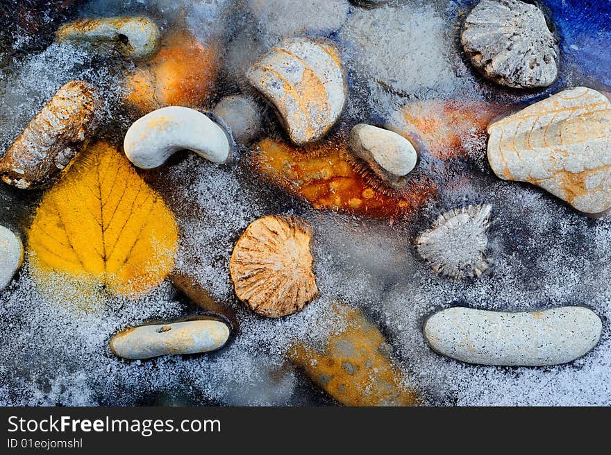 The sea pebble and yellow leaf have frozen on a beach. The sea pebble and yellow leaf have frozen on a beach