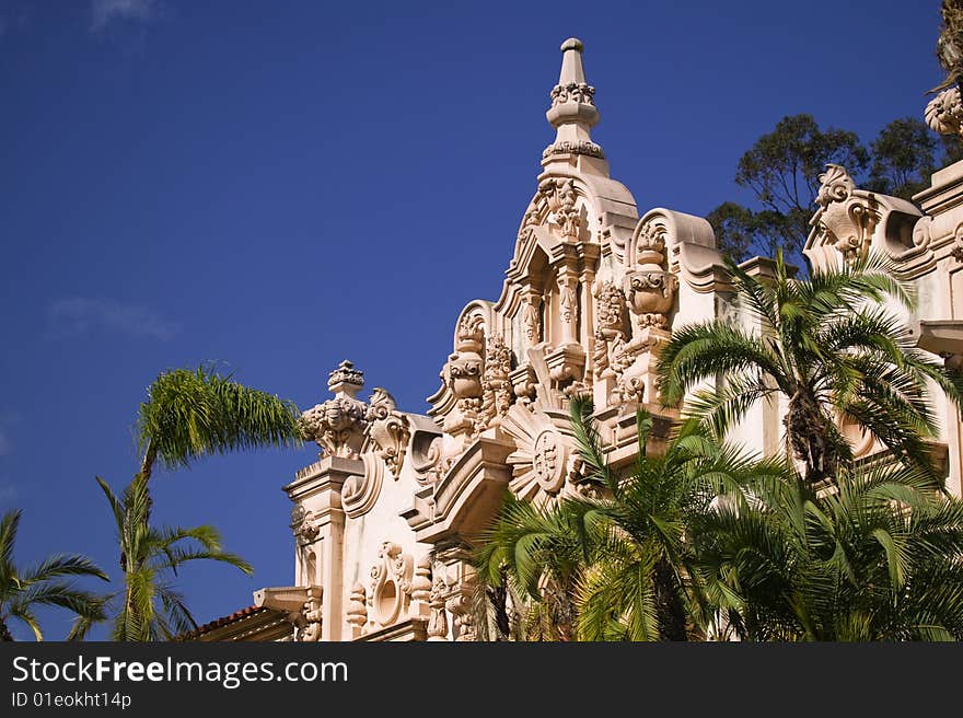 Balboa Park Palm Trees