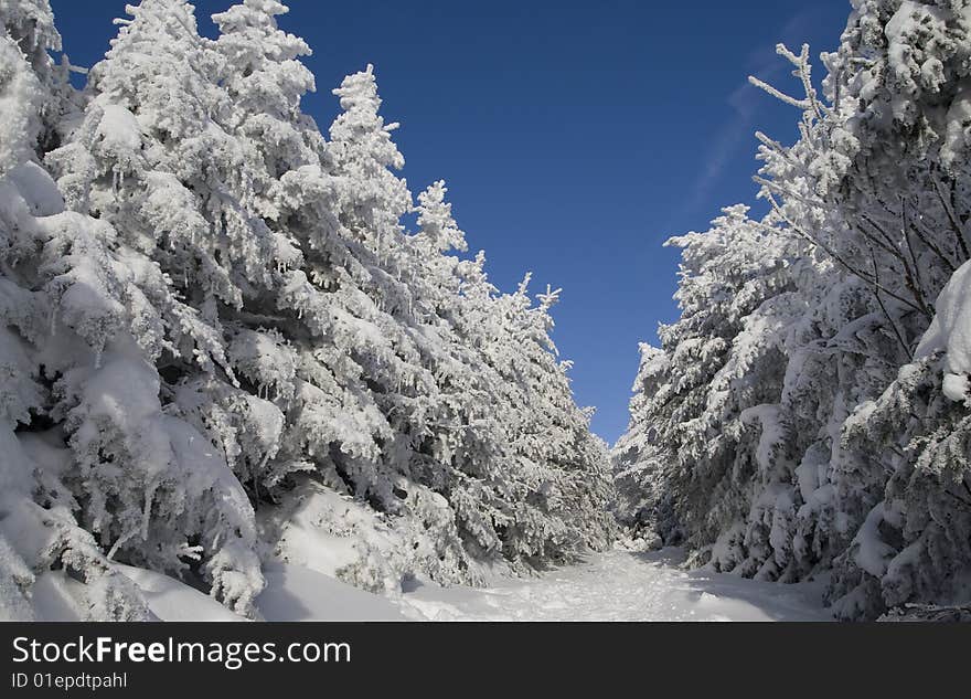 Frozen Aisle in the mountains. Frozen Aisle in the mountains