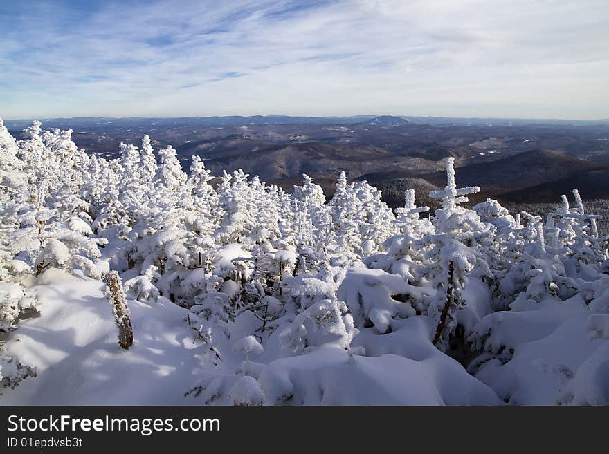 Frozen Landscape