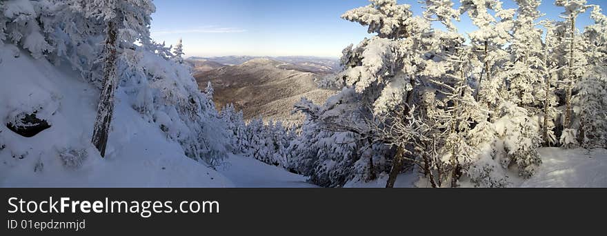 Frozen Landscape