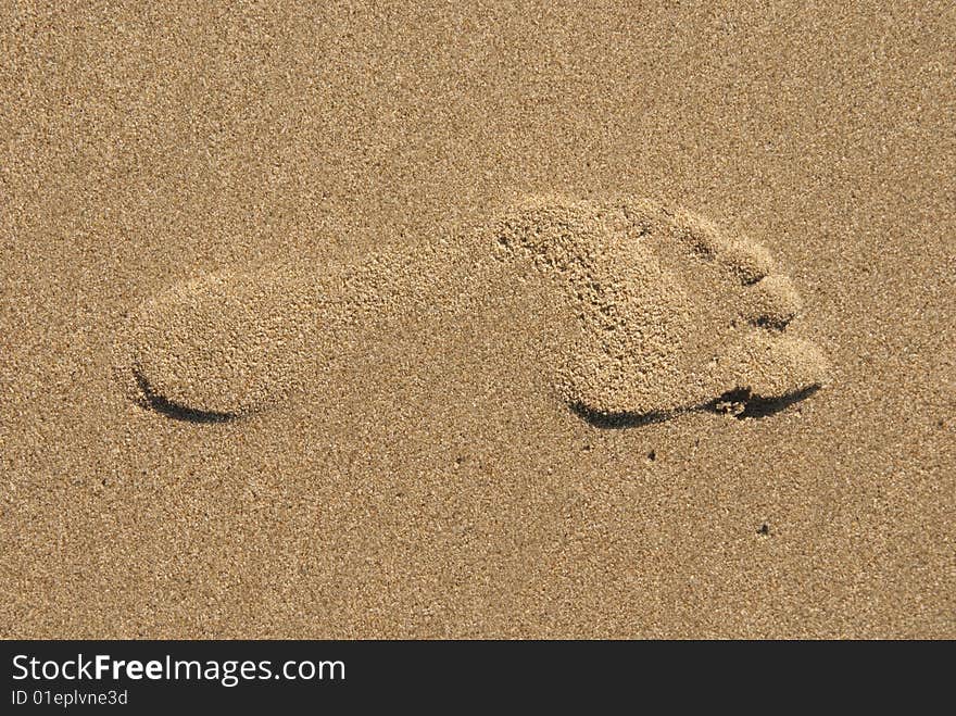 Footprint In The Sand