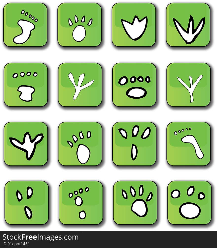 A selection of 16 glossy green vector graphic icons representing different types of foot prints. A selection of 16 glossy green vector graphic icons representing different types of foot prints.