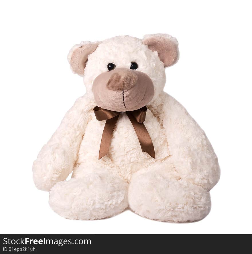 Teddy bear toy isolated on a white