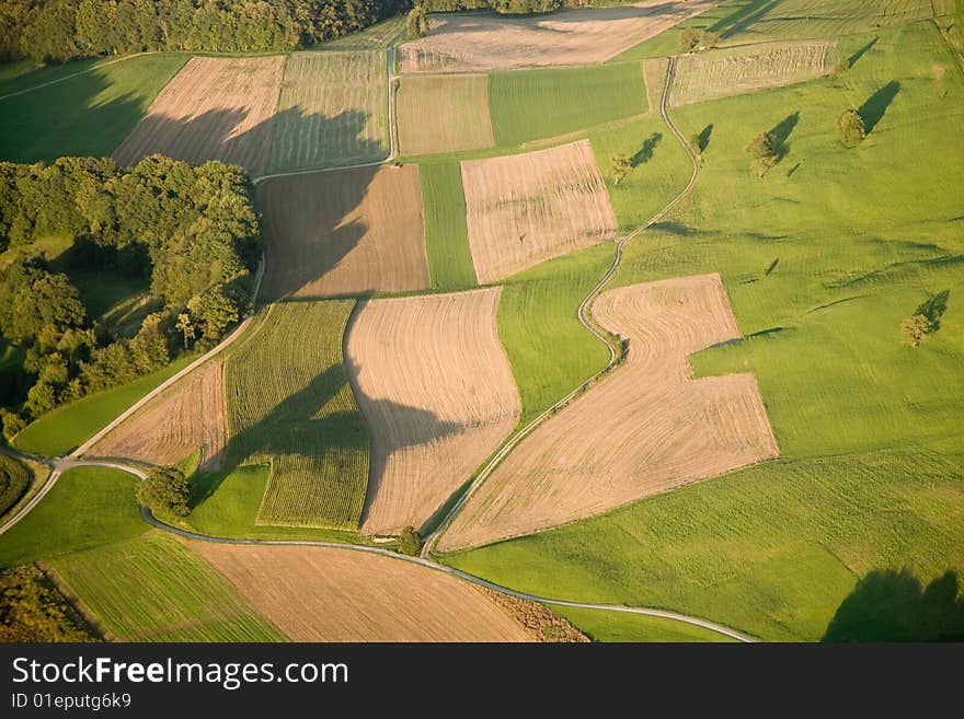 Green Meadow