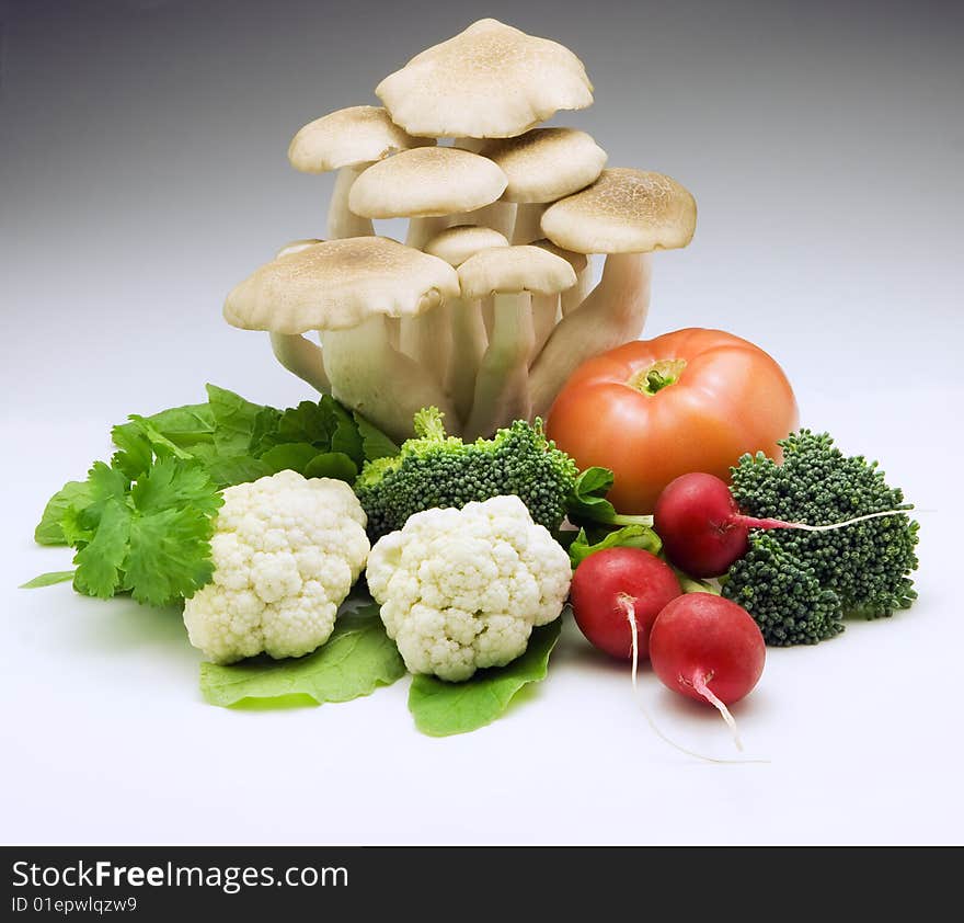 Fresh vegetables in studio shot