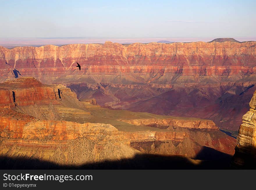 A Canyon In All It S Splendor