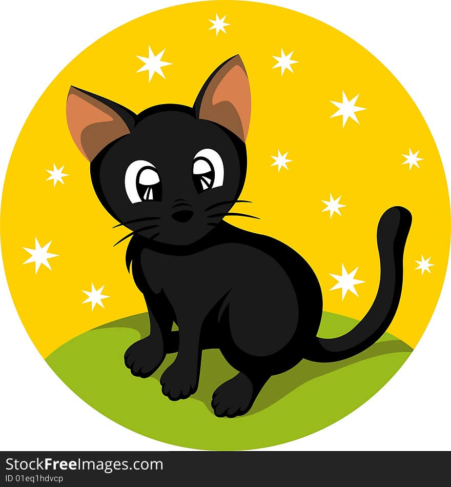 Little Black Cat