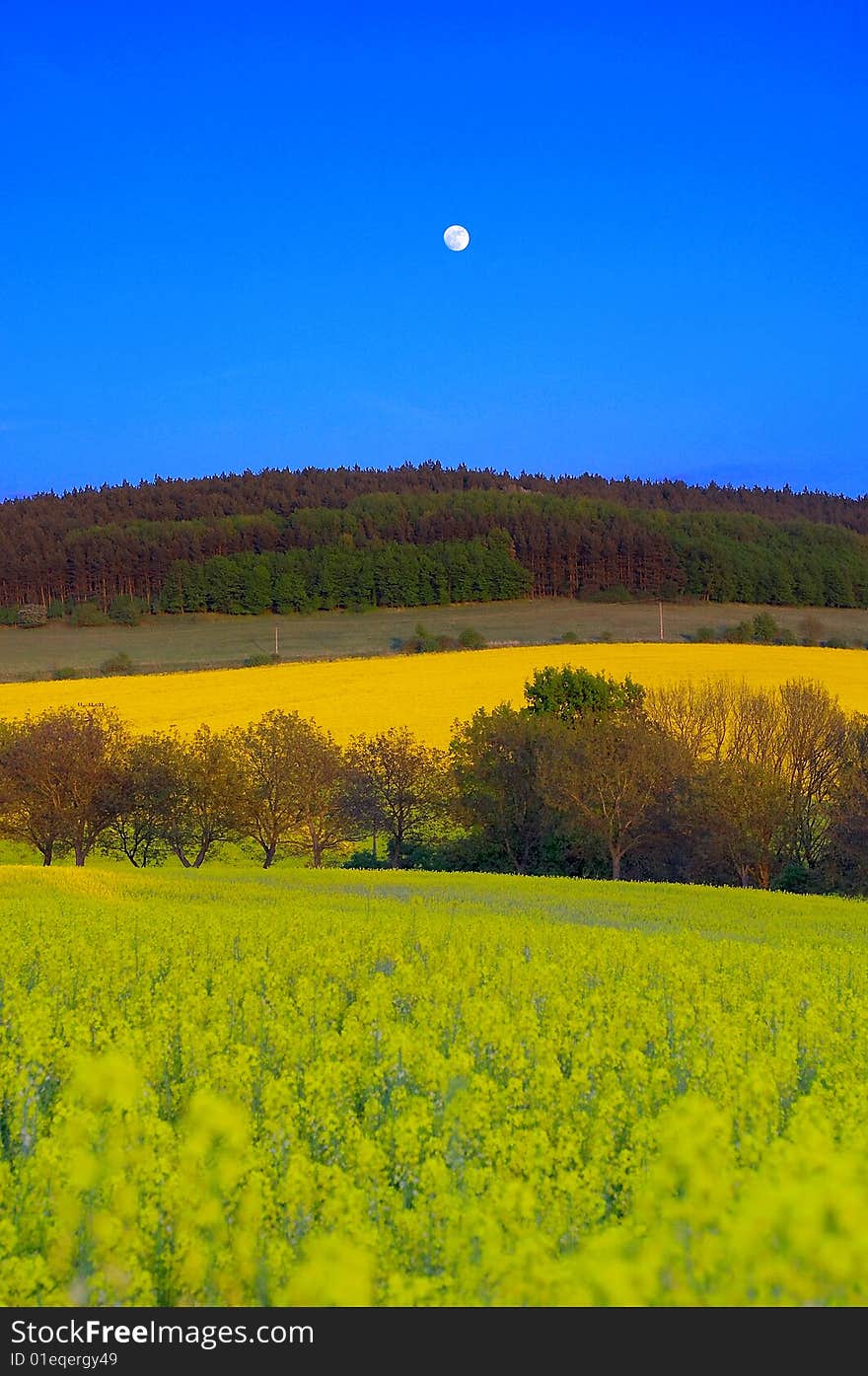 Czech evening landscape with moon. Czech evening landscape with moon