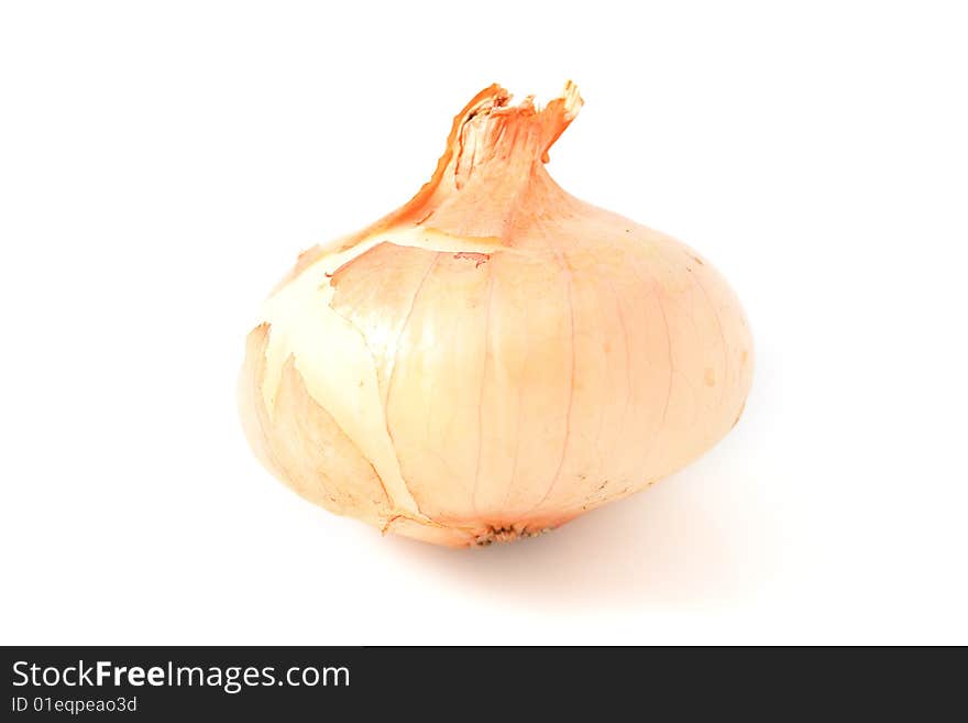 Bulb vegetable food isolated on white background