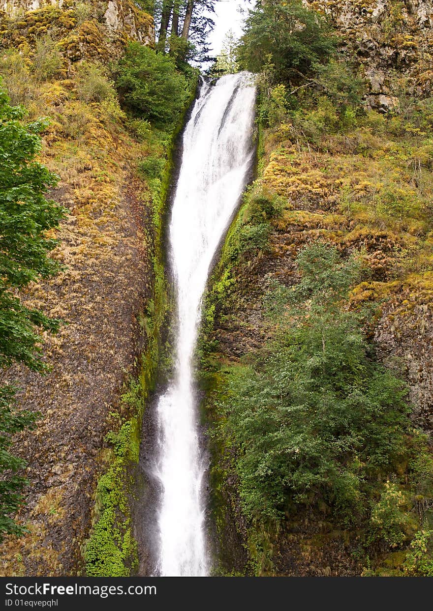 Horse Tail Falls Waterfall in Oregon