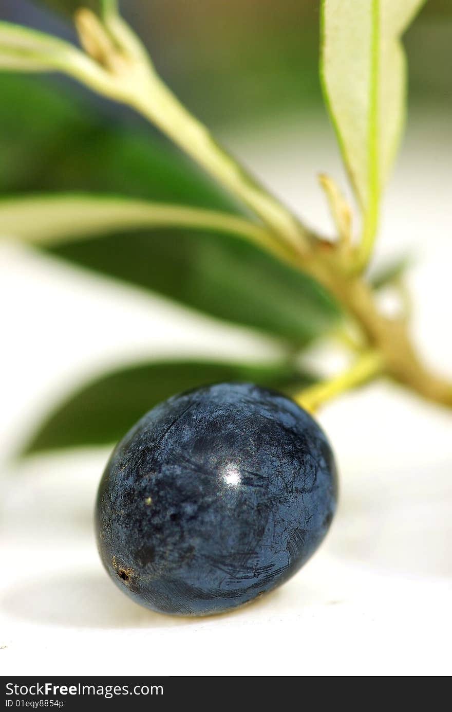 Close up of mature olive.