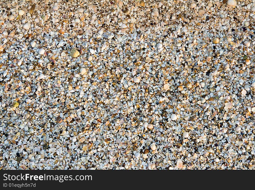 Maritime pebble on the beach. Maritime pebble on the beach