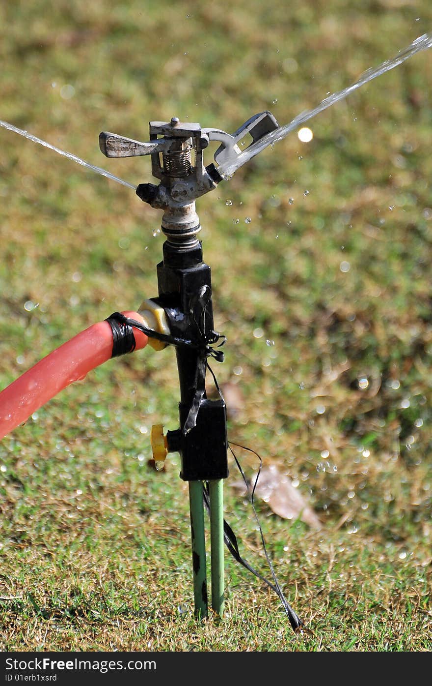 Garden fountain sprinkling water on grass.