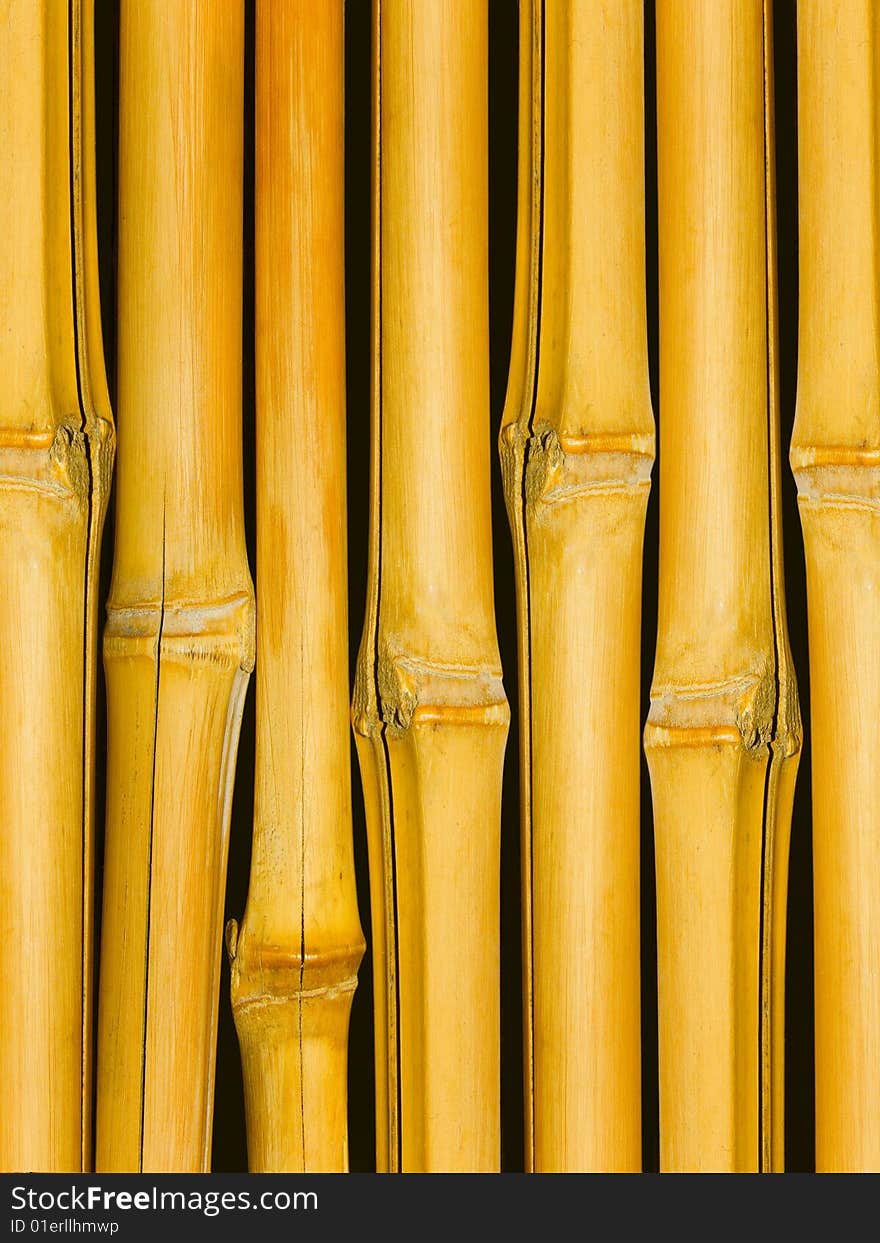 Trunks A Tree A Bamboo