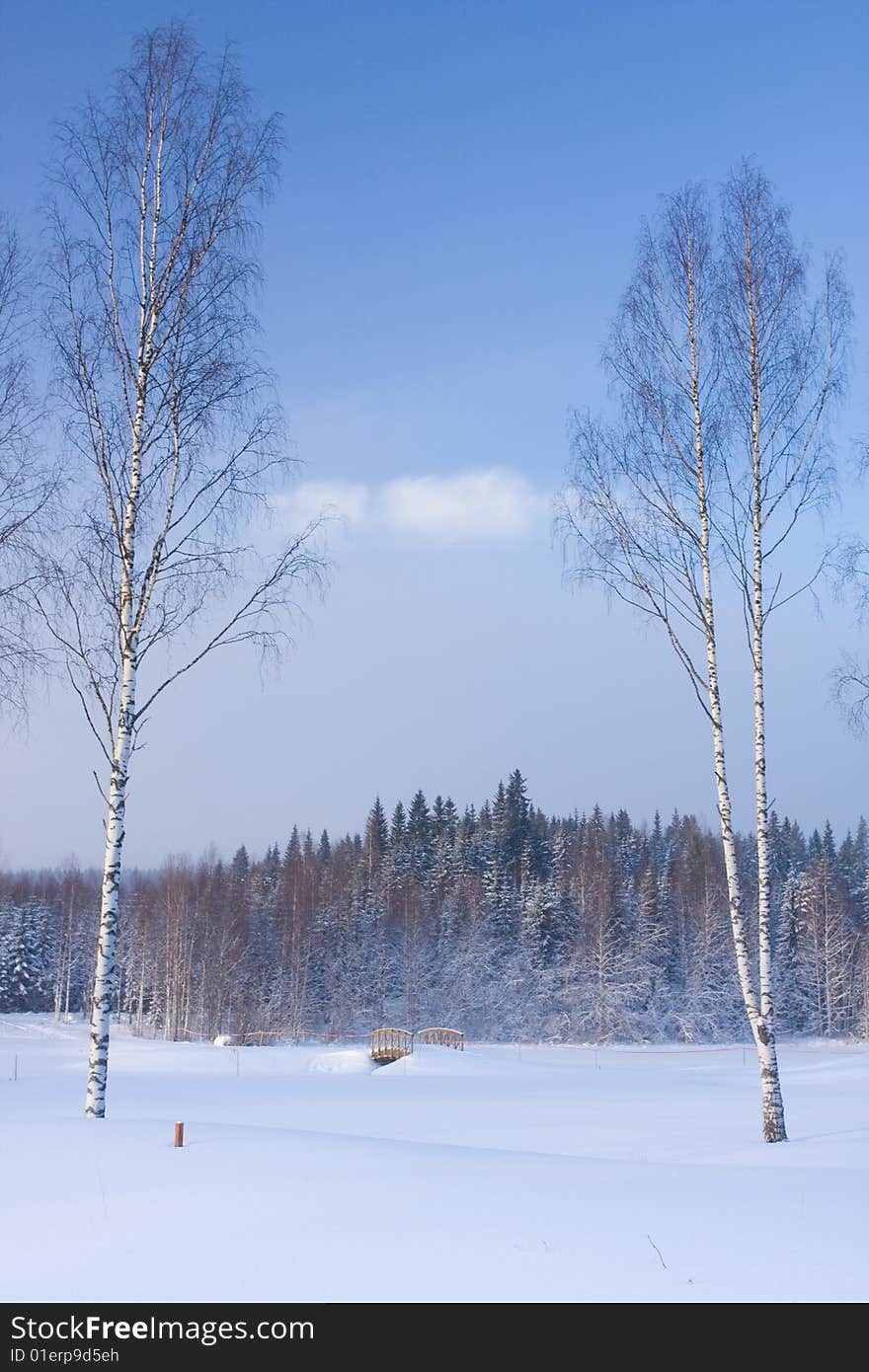 Beautiful winter landscape in Finland. Tahko resort; January 2009. Beautiful winter landscape in Finland. Tahko resort; January 2009