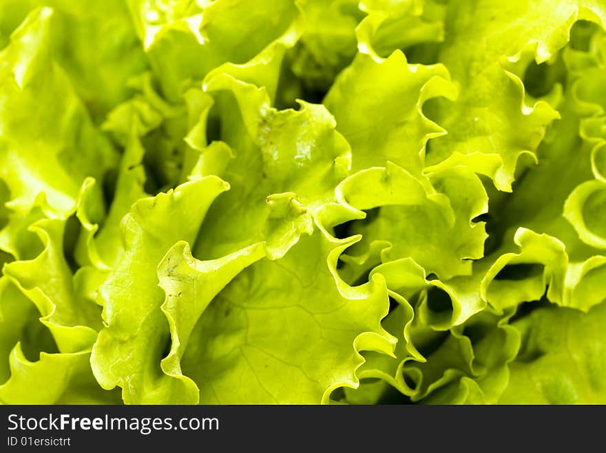 Salad Leaves Background