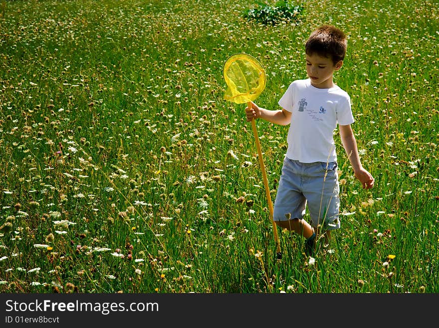 A young butterfly hunter in meadow