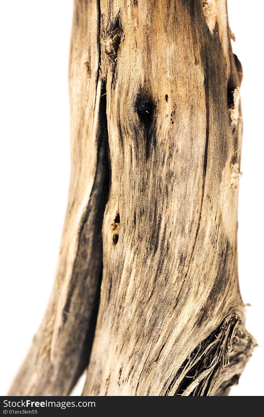 Wood Isolated